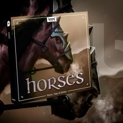 Boom Library HORSES WAV-KONTAKT