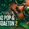 Diginoiz Afro Pop and Reggaeton 2 MIDI-WAV