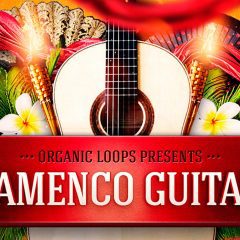 Organic Loops Flamenco Guitars WAV-RX2