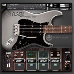 Angel Cano Toasty v1-03 KONTAKT WiN-MAC