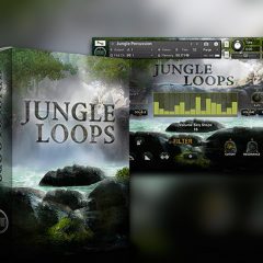 Jungle Loops Instrument KONTAKT