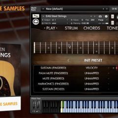 Evolution Steel Strings 1-1-68 KONTAKT