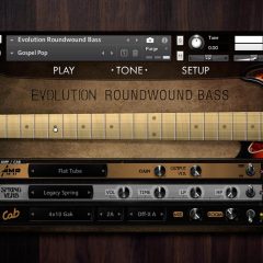 Evolution Roundwound Bass KONTAKT