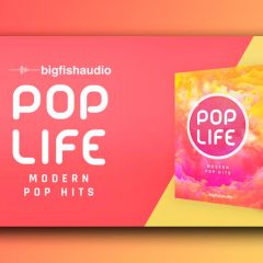 Pop Life Modern Pop Hits KONTAKT