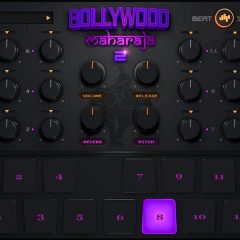 Bollywood Maharaja 2 VST-AU WiN-MAC