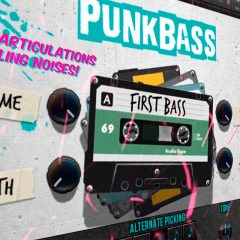 SubmissionAudio Punk Bass KONTAKT