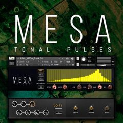 Umlaut Audio MESA KONTAKT