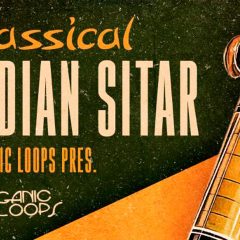 Classical Indian Sitar KONTAKT