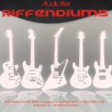 Riffendium Series 4 v1-02 KONTAKT