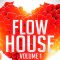 Flow House Synth KONTAKT