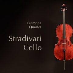 Stradivari Cello v1-0-1 Update KONTAKT