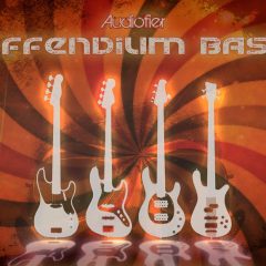 Riffendium Bass KONTAKT