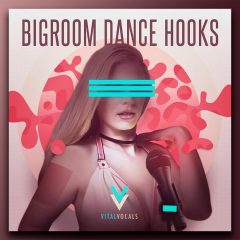 Bigroom Dance Hooks WAV-REX2