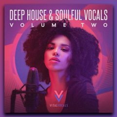 Deep House Soulful Vocals 2 WAV