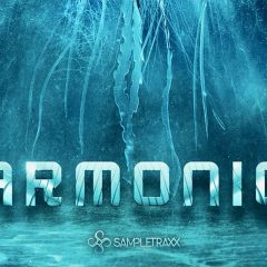 Sampletraxx Harmonics v1-1 KONTAKT