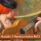 Classic-Acoustic-Flamenco Guitar MIDI