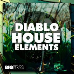 Diablo House Elements WAV-MIDI