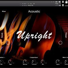 Muze UPRIGHT BASS KONTAKT