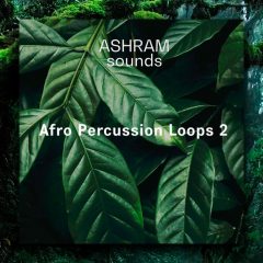 ASHRAM Afro Percussion Loops 2 WAV
