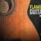 VGS Flamenco Guitars Vol-5 WAV