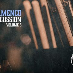 VGS Flamenco Percussion Vol-3 WAV