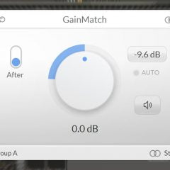 LetiMix GainMatch v1-41 WiN