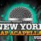 New York Rap Acapellas Vol-1 MULTI