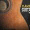 VGS Flamenco Guitars Vol-3 WAV