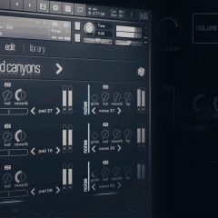 Ridig Audio Pad Therapy KONTAKT