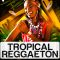 Singomakers Tropical Reggaeton WAV-REX