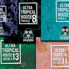 Ultra Tropical House Vocals Bundle 2