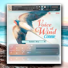 Voice of Wind Connie v1-0 KONTAKT