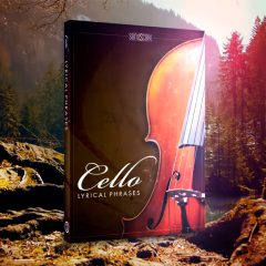 Sonuscore Lyrical Cello Phrases KONTAKT