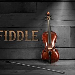 Indiginus The Fiddle KONTAKT