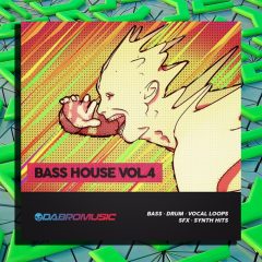 DABRO Music Bass House Vol 4 WAV