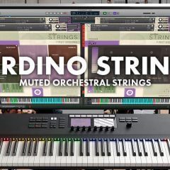 Sonokinetic Sordino Strings KONTAKT