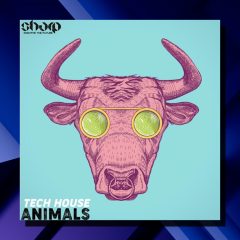 SHARP Tech House Animals WAV-MIDI