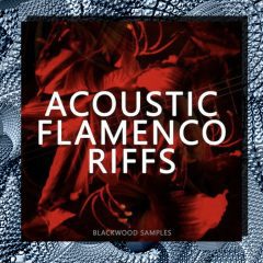 Blackwood Acoustic Flamenco Riffs WAV