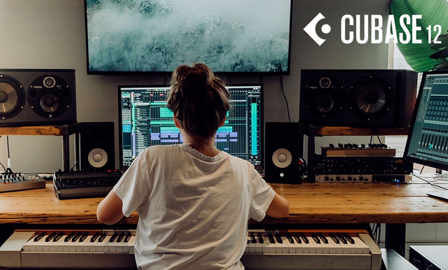 Steinberg Cubase Pro V Mac Audiotools