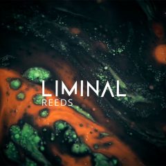 Crocus LIMINAL Bundle KONTAKT