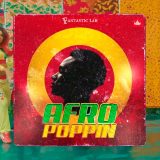 Afropoppin Vol1 Afrobeats Dancehall MULTi