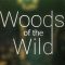 Woods Of The Wild KONTAKT