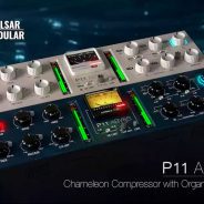 Pulsar Modular P11 Abyss v2-2-2 MAC