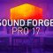 Sound Forge Pro Suite v17-0-2-109 WiN