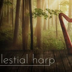 Sonuscore Celestial Harp KONTAKT