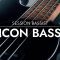 Session Bassist Icon Bass KONTAKT