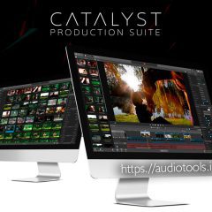 Sony Catalyst Suite 2024-1 WiN