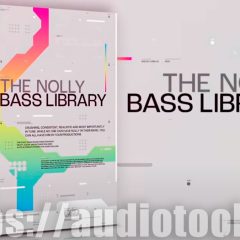 The Nolly Bass Library KONTAKT