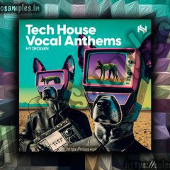 Tech House Vocal Anthems MULTi