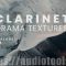 Clarinet Drama Textures KONTAKT